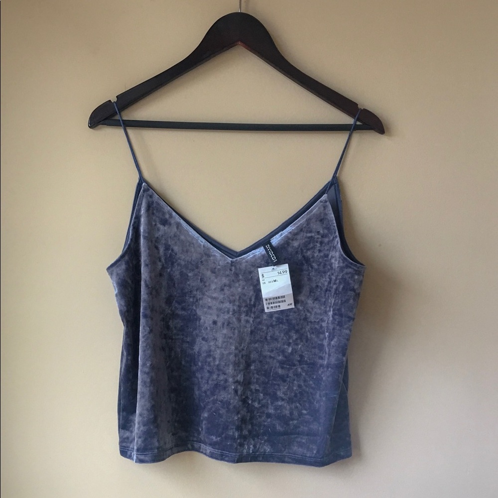 Blue Velvet Spaghetti String Top